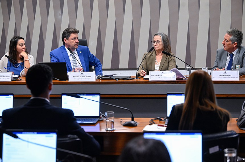 Mesa: 
secretária Nacional de Geologia, Mineração e Transformação Mineral do Ministério de Minas e Energia (MME), Ana Paula Lima Vieira Bittencourt; 
presidente eventual da CI, senador Wilder Morais (PL-GO); 
especialista em Políticas e Indústria da Confederação Nacional da Indústria (CNI), Maria Tereza Almeida Cunha de Castro; 
diretor-executivo do Sindicato da Indústria de Condutores Elétricos, Trefilação e Laminação de Metais Não Ferrosos do Estado de São Paulo (Sindicel), Enio Rodrigues.