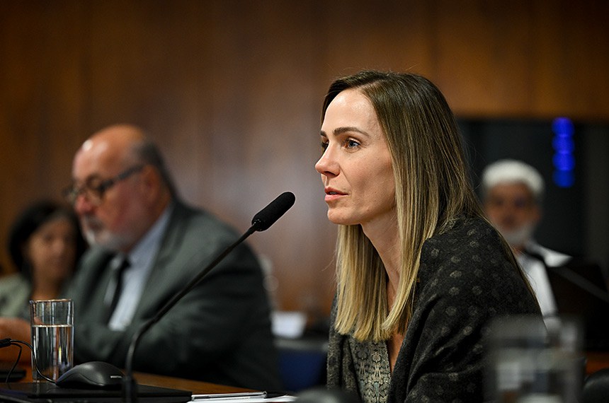 Bancada:
vice-presidente da CCS, Angela Cignachi -  em pronunciamento.