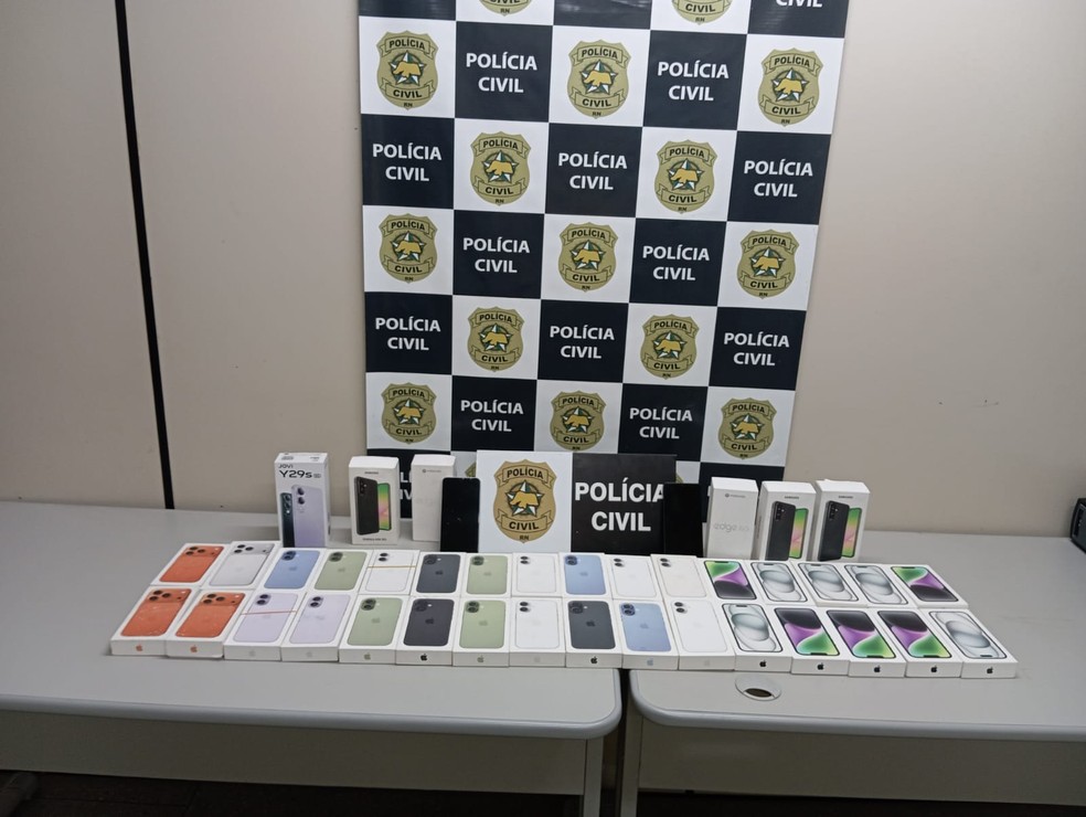 Carga recuperada de celulares pela Polícia Civil — Foto: Divulgação