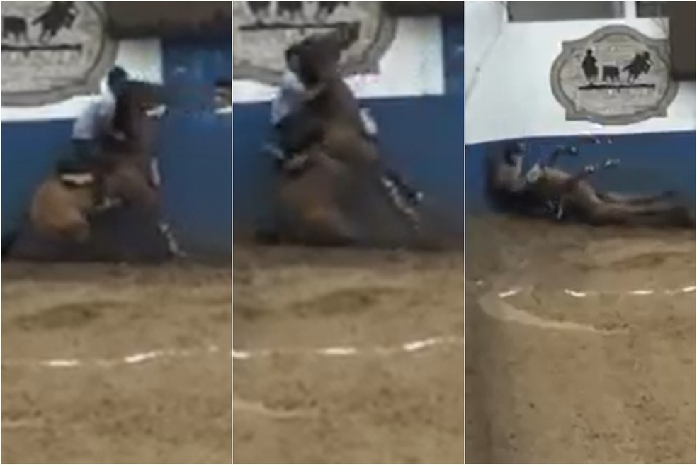 Cavalo morreu durante vaquejada em Caicó, no RN — Foto: Reprodução/TV Universo