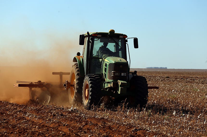 Mato Grosso e Bahia são responsáveis por 82% da produção nacional e se destacam pelo investimento em biotecnologia, gerenciamento do setor e novas técnicas de manejo.