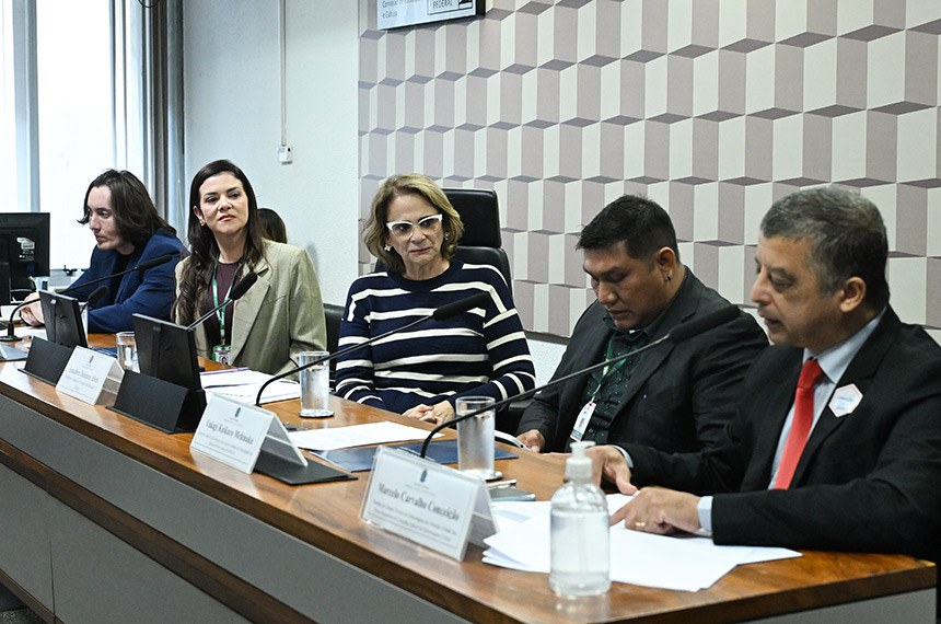 Mesa: 
chefe da Divisão de Gestão do Trabalho e Educação na Saúde Indígena do Ministério da Saúde (Sesai/MS), Gustavo Hoff;
coordenadora do Curso de Enfermagem Intercultural Indígena da Universidade do Estado de Mato Grosso (Unemat), Ana Cláudia Pereira Terças Trettel;
presidente eventual da CE, senadora Damares Alves (Republicanos-DF);
aluno do Curso de Enfermagem Intercultural Indígena da Universidade do Estado de Mato Grosso (Unemat), Yakagi Kuikuro Mehinaku;
membro da Câmara Técnica de Enfermagem em Atenção à Saúde dos Povos Originários do Conselho Federal de Enfermagem (Cofen), Marcelo Carvalho Conceição.