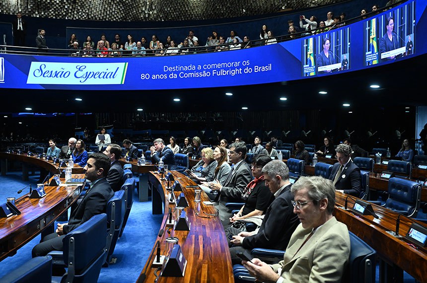 Parlamentares e convidados acompanham a sessão.