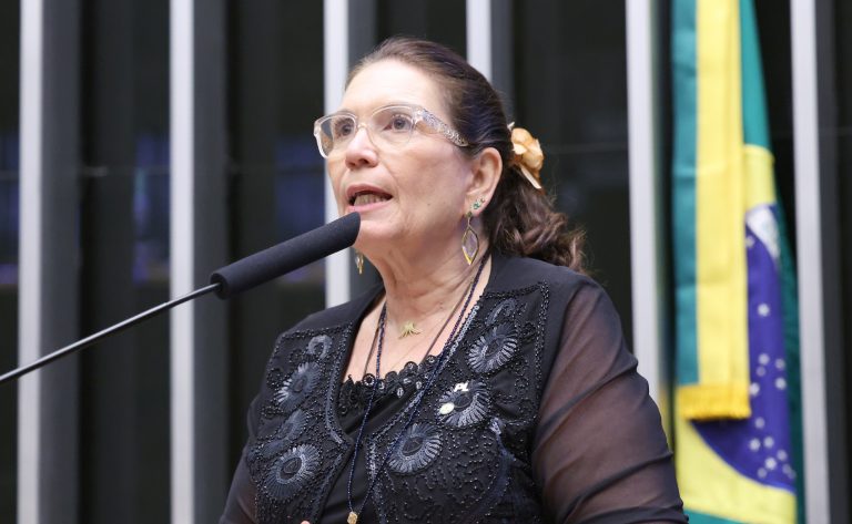 Deputada Bia Kicis fala ao microfone