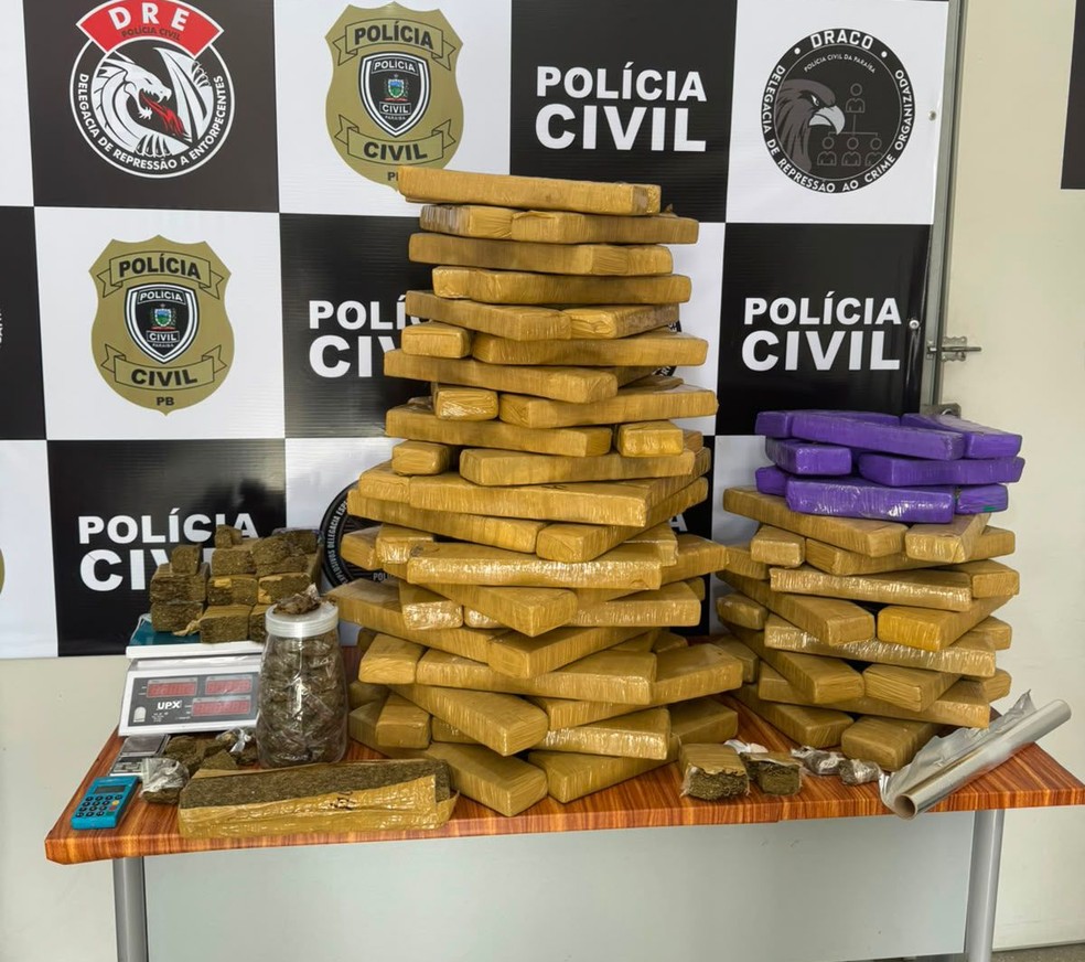 Droga foi apreendida nesta quinta-feira (4) em uma apartamento no bairro das Malvinas, em Campina Grande. — Foto: Polícia Civil