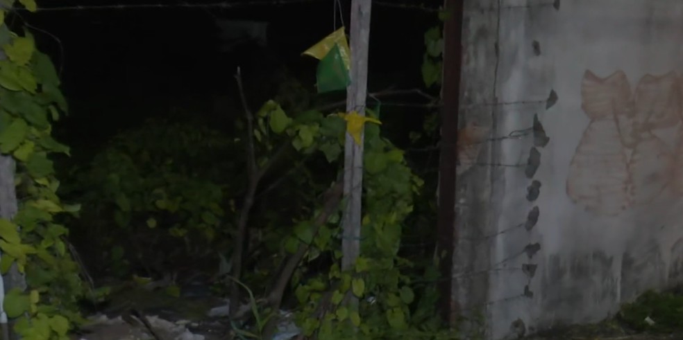 Corpo é encontrado em estado de decomposição em terreno, em João Pessoa — Foto: TV Cabo Branco