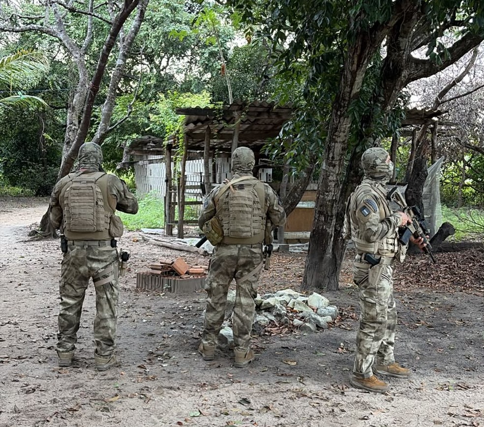 Operação mira organização investigada por tráfico de drogas e lavagem de dinheiro na Paraíba — Foto: Reprodução / Polícia Militar da Paraíba