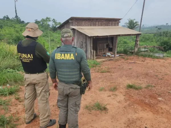São Felix do Xingú.16/12/2023 Vila Renascer é totalmente desocupada e agentes intensificam trabalho de inutilização das estruturas ilegais na Terra Indígena. Animais são encontrados em situação de abandono e maus tratos. Foto ASCOM