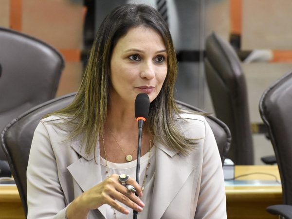 Proposto pela deputada Cristiane Dantas, o debate será realizado no plenário da Câmara Municipal — Foto: João Gilberto