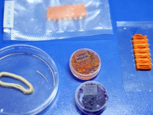 0d7a4320 Brasília (DF), 26/05/2026 - O laboratório de nanotecnologia da Embrapa produz em caráter experimental substitutos veganos de carne vermelha, salmão e lula por meio de uma impressora carregada de massa feita do extrato de sementes. Foto: Valter Campanato/Agência Brasil