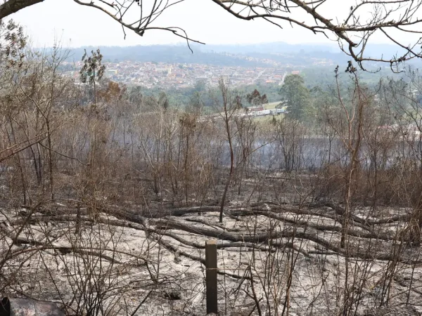 Itapecerica da Serra (SP), 13/09/2024 - Incêndio em terreno da Companhia de Saneamento Básico do Estado de São Paulo - Sabesp, na região metropolitana de São Paulo. Foto: Rovena Rosa/Agência Brasil