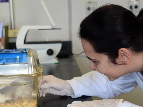 São Paulo - Pesquisadores Jean Pierre Schatzmann Peron e Patricia Baleeiro Beltrão Braga falam sobre pesquisa da USP referente ao Zika virus  (Rovena Rosa/Agência Brasil)