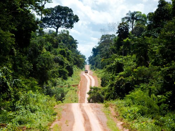 Estrada que leva ao distrito de Guariba e marca o limite da  Terra Indígena Kawahiva do Rio Pardo (Marcelo Camargo/Agência Brasil)