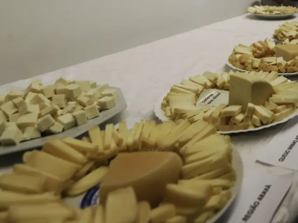 Queijo artesanal, queijo Canastra