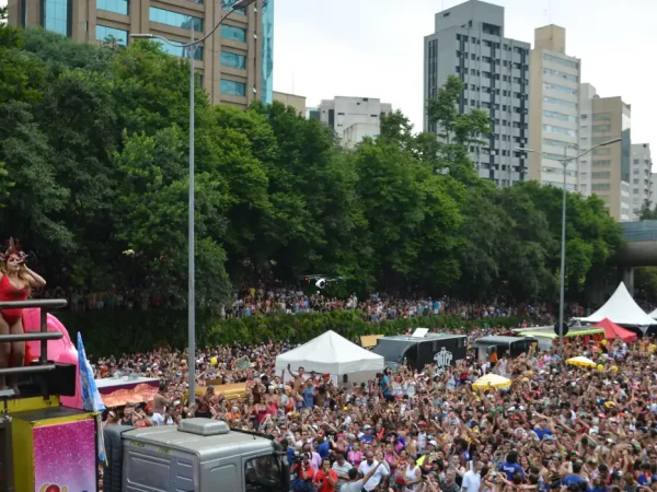 São Paulo - Milhares de foliões acompanham o bloco Chá Rouge na Avenida 23 de Maio, que está sendo utilizada a primeira vez para a passagem de blocos no carnaval (Rovena Rosa/Agência Brasil)