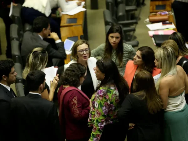 Brasília - A 2ª secretária da Mesa da Câmara, Mariana Carvalho, preside sessão para votar projetos de lei considerados prioritários pela bancada feminina (Wilson Dias/Agência Brasil)