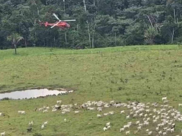 Acre, 16/06/2025 - Funcionários do ICMBio enfrentam ataques na Reserva Extrativista Chico Mendes durante a Operação Suçuarana, que combate desmatamento e pecuária ilegal. Foto: Agência Gov/Divulgação