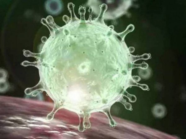 Foram 22.282 novos casos de coronavírus registrados — Foto: Reprodução