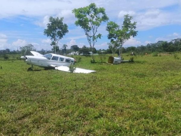 Dois passageiros, além do piloto, estavam no avião, mas ninguém teve ferimentos graves — Foto: Reprodução