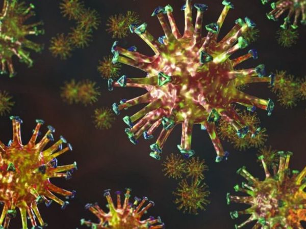 OMS diz esperar que variante delta do coronavírus 'se torne a linhagem dominante em circulação nos próximos meses' — Foto: Getty Images via BBC