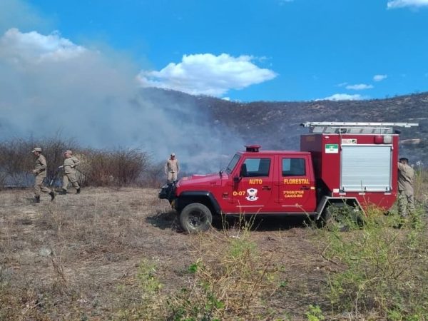 Ainda não se sabe o que causou o fogo — Foto: Corpo de Bombeiros do RN.