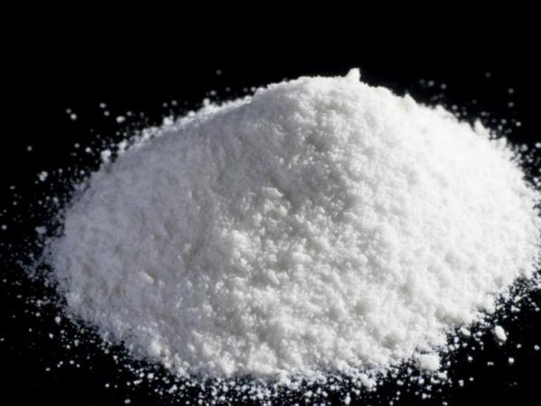O jurista afirma que “o gás da cocaína injetado no corpo humano” para matar o coronavírus — Foto: Reprodução