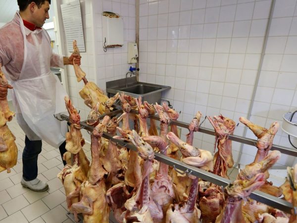 Funcionário trabalha em abatedouro de patos em fazenda avícola em Eugenie les Bains, na França
24/01/2017 REUTERS/Regis Duvignau