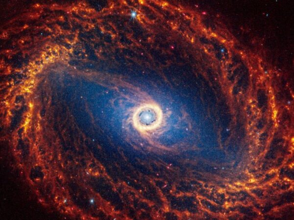Galáxia espiral NGC 1512 situada a 30 milhões de anos luz da Terra
Divulgação via REUTERS.