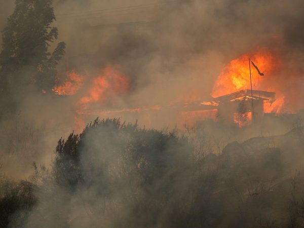 Casas queimam em meio à propagação de incêndios florestais em Vina del Mar, Chile, 3 de fevereiro de 2024. REUTERS/Rodrigo Garrido