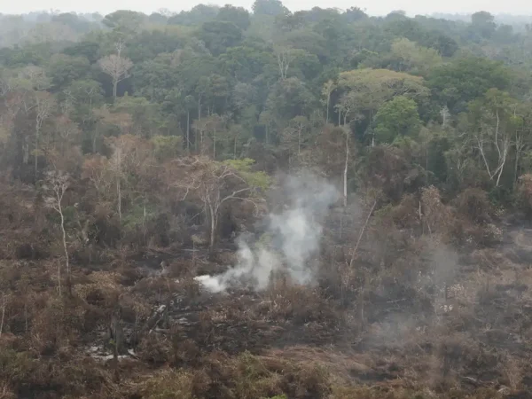 Fumaça de queimadas sobe em floresta tropical na Terra Indígena Yanomami, Roraima, Brasil, 2 de março de 2024. REUTERS/Bruno Kelly