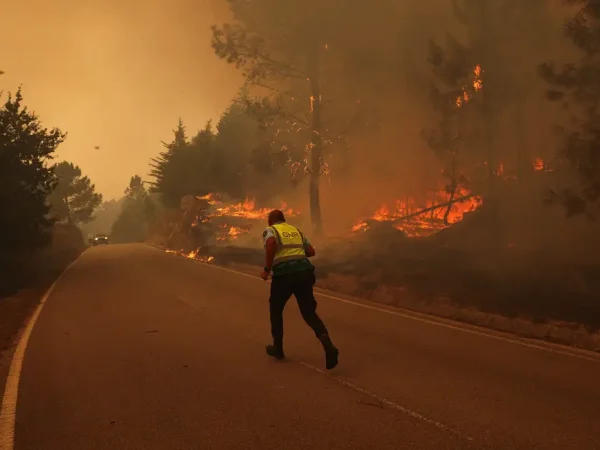 Policial corre em rua cercada por incêndio florestal em São Pedro do Sul, em Portugal
18/09/2024
Reuters/Pedro Nunes/Proibida reprodução