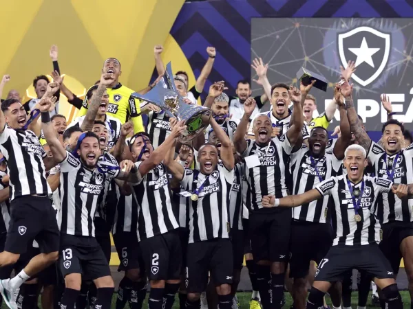 botafogo, brasileiro, campeão
