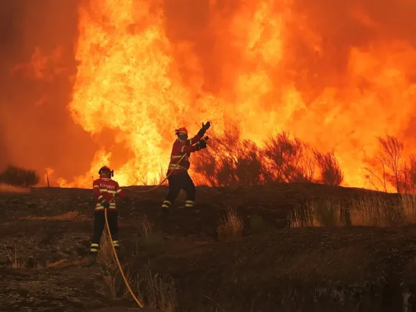 Bombeiros trabalham para extinguir incêndio florestal que se aproxima de Trancoso, Portugal
13/08/2025
REUTERS/Pedro Nunes