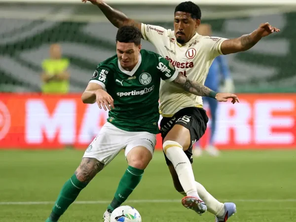 palmeiras, universitario, libertadores