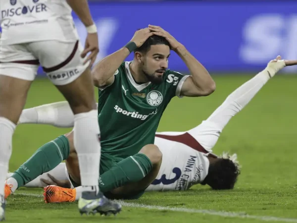 palmeiras, libertadores, ldu
