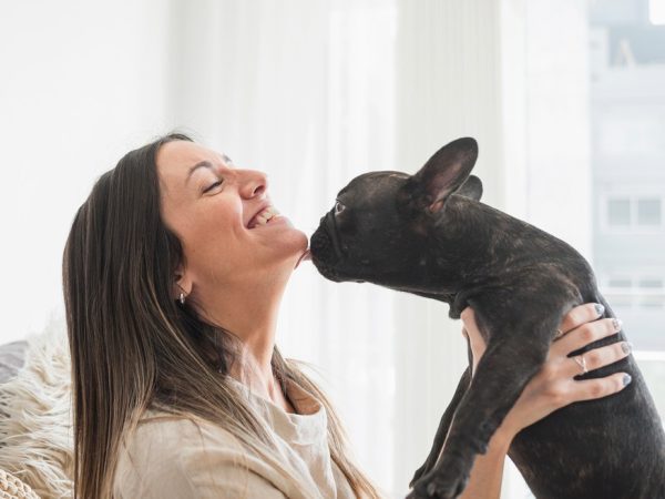 PL prevê sepultamento de animais de estimação em jazigos de família em cemitérios públicos e privados. — Foto: Freepik