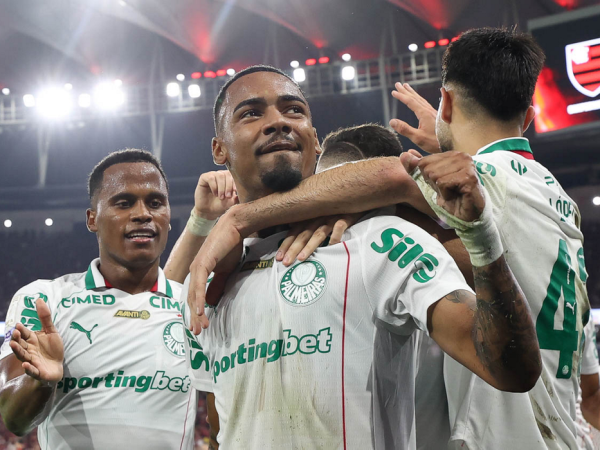 palmeiras, flamengo, brasileiro