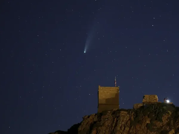 Cometa Neowise