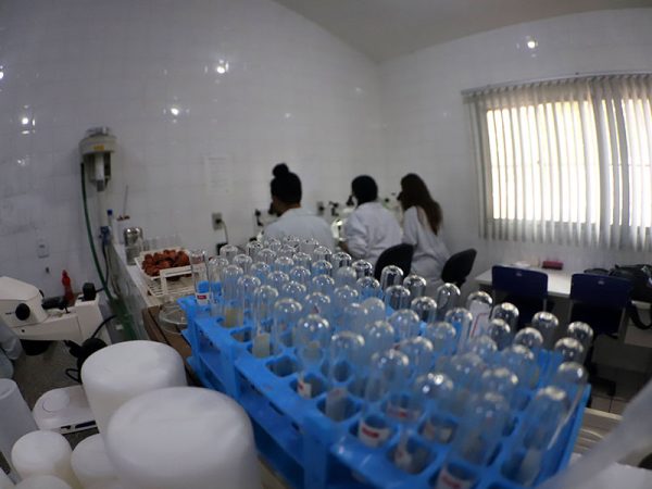 Kits de testes estão em falta a nível nacional, segundo a Secretaria Estadual de Saúde — Foto: Alex Régis