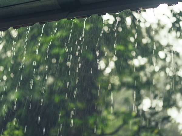 As chuvas acompanham a previsão da Emparn para o último fim de semana de abril. — Foto: Kireyonok Yuliya/Freepik
