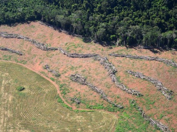 O aumento das queimadas na Floresta Amazônica tornou-se pauta internacional na última semana — Foto: Vinícius Mendonça/Ibama.