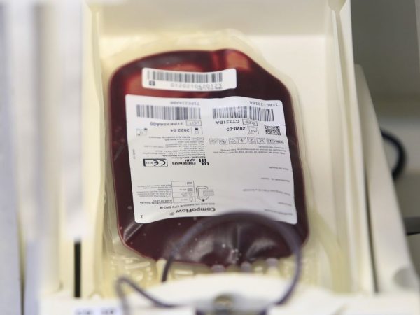Pessoas participam de campanha de doação de sangue.