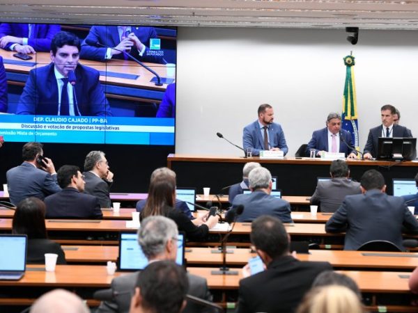 Parlamentares anunciaram recursos de emendas individuais para o RS - Foto: Jefferson Rudy/Agência Senado
