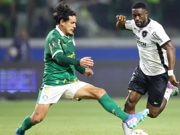 Botafogo, Palmeiras, Libertadores