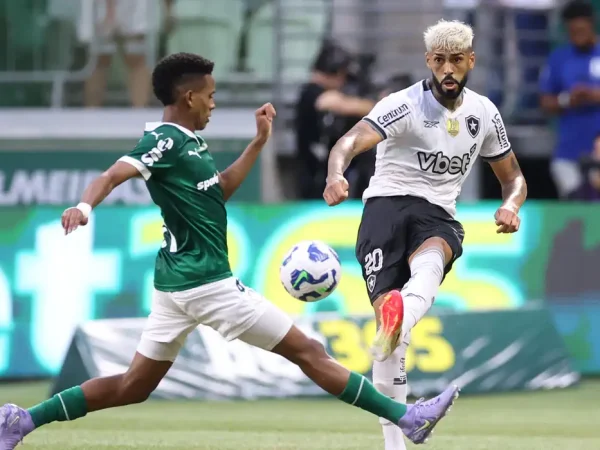 botafogo, palmeiras, brasileiro