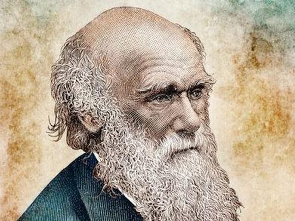Charles Darwin, na imagem, publicou o livro 'A Origem das Espécies' 23 anos depois de fazer a expedição pelo mundo — Foto: Getty Images (via BBC)