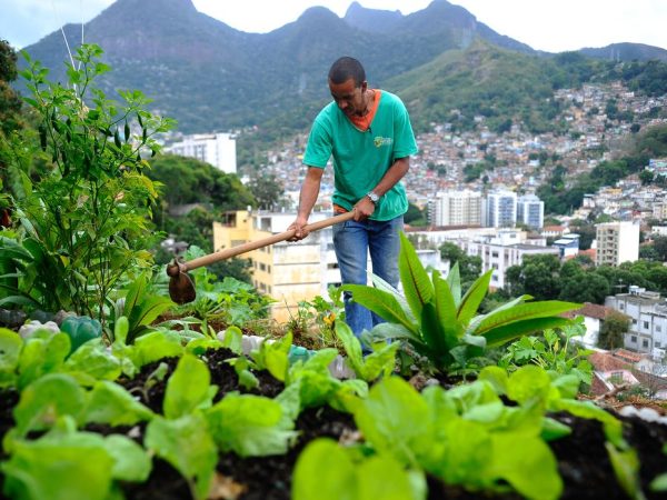 Projeto mobiliza moradores das comunidades pacificadas implementando agricultura sustentável em hortas comunitárias. Na foto, o morador do Morro da Formiga, Wallace da Silva Rosa (Tomaz Silva/Agência Brasil)