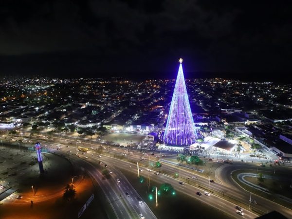 Considerada uma das maiores do país, a árvore tem estrutura de 120 metros de altura. — Foto: Alex Régis/Prefeitura do Natal