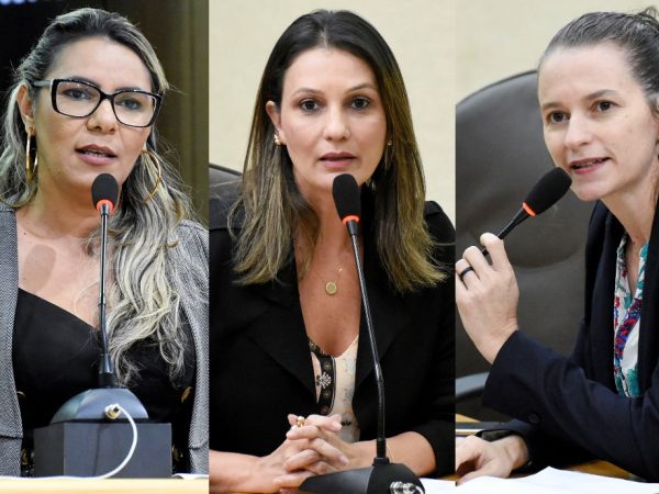 Bancada feminina renova o tema como bandeira de atuação parlamentar na Casa Legislativa — Foto: Assessoria de Comunicação