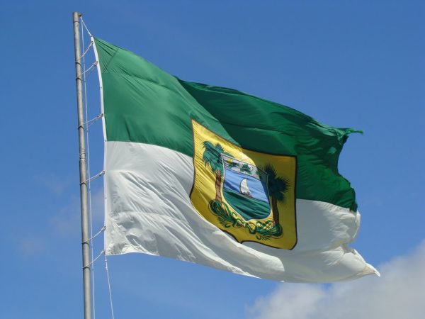 Bandeira do Estado do Rio Grande do Norte (Foto:  © Reprodução)